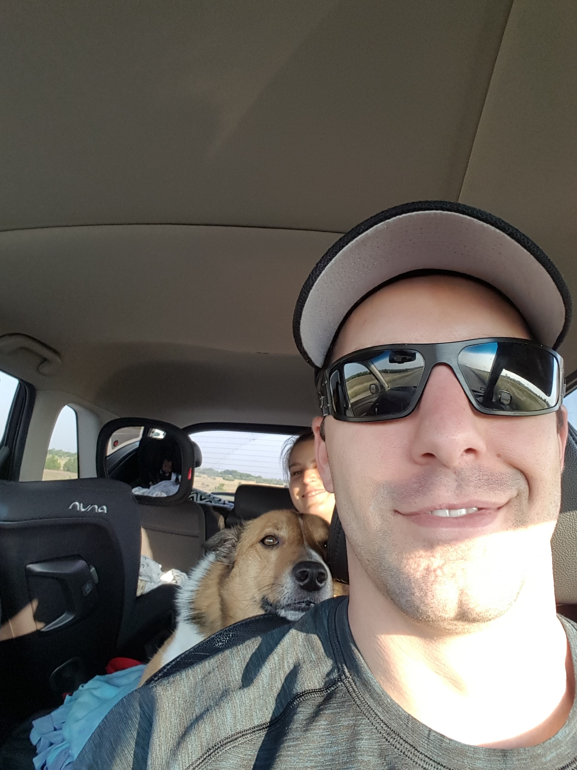 dog navigator